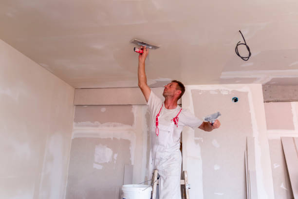 Fruitdale, CA Dry wall and painting Company